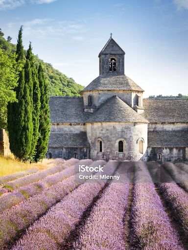 Test not liked image